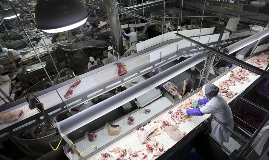 屠宰場污水處理設(shè)備價(jià)格多少錢-藍(lán)膜