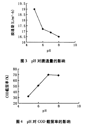 納濾膜，廢水滲透液，COD，去除效果