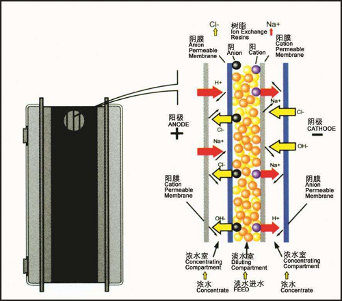 EDI模塊,內(nèi)部結(jié)構(gòu)圖片